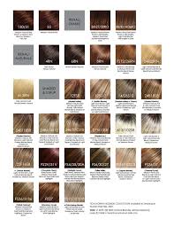 Each chart below is from a major hair care product company who produce some of the top at home hair coloring products. Beige Hair Color Chart