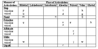 Contrastive Analysis And Tutorial Report