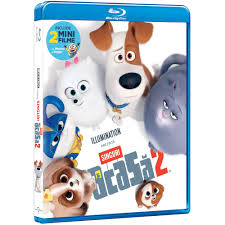De cartoons 5 ani in urma 69.9k vizionari. Singuri Acasa 2 The Secret Life Of Pets 2 Bd 2019 Emag Ro