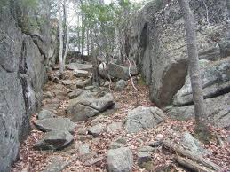 Long Pond Woods Trail Trail Camping World Rhode Island