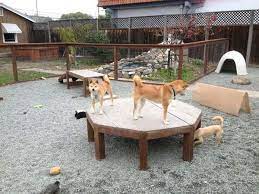 34 Simple Diy Playground Ideas For Dogs Home Design And Interior Dog Playground Dog Yard Outdoor Dog