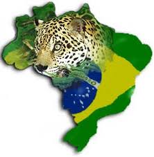 Resultado de imagem para fauna e flora da amazonia