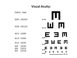What Is The Meaning Of 6 24 In Eye Vision And What Is The 40