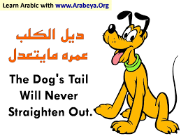 ديل الكلب عمره ما يتعدل Learning Arabic Arabic Phrases English Language Learning