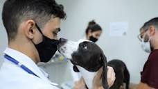 Clínica do Complexo Veterinário da Unifor cuida do seu pet com ...
