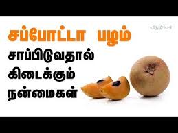 Sapota Fruit In Tamil Sapota Fruit Benefits In Tamil Tamil Health Tips Youtube Fruit Benefits Health Health Tips