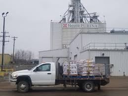 Food bank usage has spiked. Pet Food Program Expanded To Edmonton During Covid 19 Ctv News