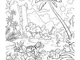 Animals coloring pages free amazon rainforest colouring african. Tropical Rainforest Ecosystem Drawing Novocom Top
