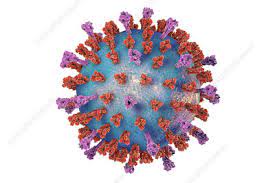 What are the signs & symptoms of respiratory syncytial virus? Rs Virus Keyword Search Science Photo Library