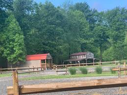 Jenny Gap Lodging and campgrounds