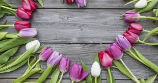 Op 1001 gedichten.nl staan de meeste en leukste gedichten en gedichtjes, wordt lid en plaats ook je eigen gedichten op 1001 gedichten! Moederdag 2019 Liefdevolle Verhalen Gedichten En Herinneringen Eindhoven Ed Nl