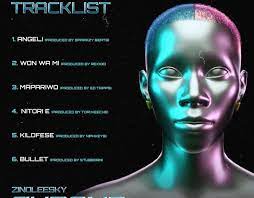 Download Zinoleesky Kilofeshe South African Music African Music Music Download Mp3 Music