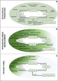 Succulent inside, their thick coats and nettles ensure predators cannot get to the sap inside, sap scientists are not too sure about the origin and evolution of cactus and other succulent plants. An Ecological Future For Weed Science To Sustain Crop Production And The Environment A Review Springerlink