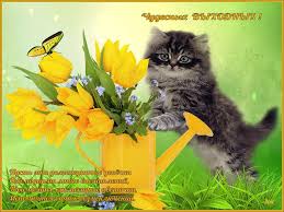 Картинки пятница соблазнительные пробуждение - доброе утро с цветами