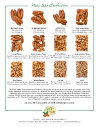 Pecan Size Chart Related Keywords Suggestions Pecan Size