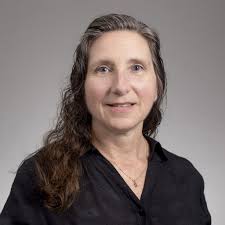 Accountant Directory