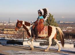He took part in many battles and kept fighting through injuries, but his most famous moment came when he took part in the battle of the little bighorn in 1876. 60 Native American Horse Names With Meanings The Paws