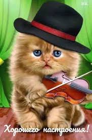 pin by lora naum on otkrytki cats animals fox