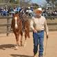 Horsemanship Demonstration!  Neil Pye  and friends! event image