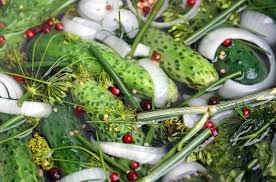 Gurkenzeit Rezept No 1 Omas Bruhgurken Vogels Kuche