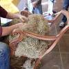 Unser kleinstes ecksofa, perfekt wenn es um ein kleines handliches ecksofa mit schlaffunktion und bettkasten geht. 1