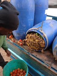 Goodmorning Insect farmers and Organic Lovers. For those asking about the  substrates I use... The first photo is grade 1 market waste, mixture of  fruits waste. The Second photo is a mixture