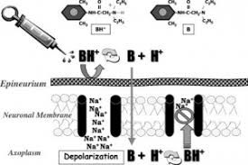 Image result for Local Skin Anesthesia