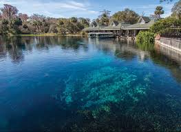 It is truly amazing that florida hosts over 1,000 artesian springs! Travels In Geology Finding Florida S Hidden Freshwater Gems