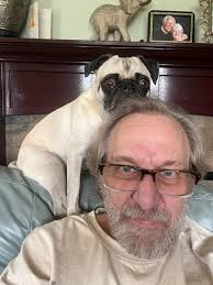 Sharing Instagram accounts for dog lovers in Pugs Group