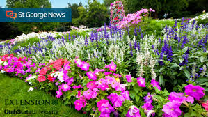 We create all aspects of floral decor from everyday gifts, sympathy tributes, weddings and corporate events. Landscaping Tips For Blooms That Deliver Seasonal Splendor St George News