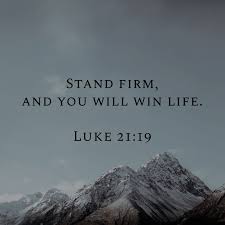 Pin On Bible Verse Of The Day