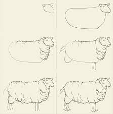 Pin On Animal Reference