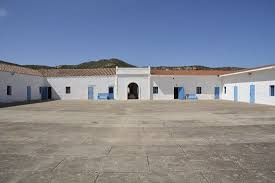 It is located on the northwestern tip of sardinia. Asinara Carcere Picture Of Amaremare Boat Sardinia Tripadvisor