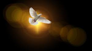 Pentecost commemorates when jesus sent the holy spirit to be with the disciples (acts 2). Pentecost A Day Of Joy And Celebration Brings Hope Faith Chapel