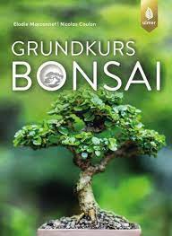 Download bonsai free pdf ebook online. Grundkurs Bonsai Ebook Pdf Von Elodie Marconnet Nicolas Coulon Portofrei Bei Bucher De