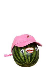 Watermelon Hat Embroidered Fruit Hats Watermelon