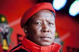 Entertaining and controversial, eff leader julius malema caused a stir in the national assembly on wednesday as he made his maiden speech as a member of parl. Malema Praises Zim S Efficient Vaccination Programme Blasts Ramaphosa Newzimbabwe Com