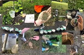 Cary Institute hosts data library interns