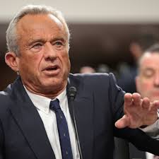 Robert F. Kennedy Jr.'s 6 Children: Names, Ages, Mothers