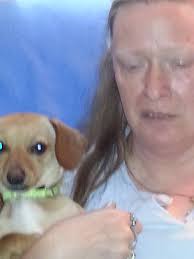 Debra Dillman Obituary (2014)