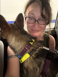 Welcome to our new members! Thank you for joining our Koastal Community.  Your support is invaluable as our little rescue grows. If you are looking  for a little fur baby to add