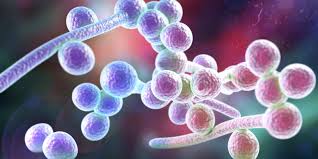 Aceste lucruri sunt conform ordinului nr. Scarlatina Medlife