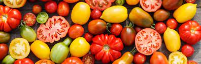Heirloom & heritage vegetable seeds. Heritage Heirloom Vegetable Seeds Plants Of Distinction