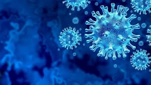 Koronawirus i światowa epidemia to działanie celowe? Koronawirus W Polsce Zachorowania Zalecenia Raport Specjalny 2 02 2021 Zdrowie