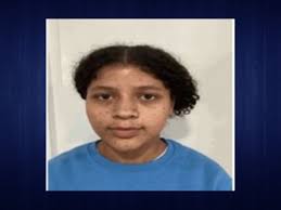 Gwinnett County Police identify shooter in Tuesday even...