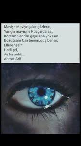 Maviye Maviye Calar Gozlerin Yangin Mavisine Ruzgarda Asi Ahmed Arif Mavi Canta Canta Gozler