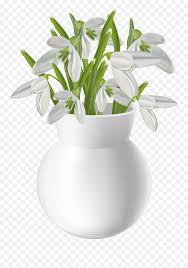 Find & download free graphic resources for flower png. Download Hd White Flower Vase Png Flower Vase On Table Png Vase Png Free Transparent Png Images Pngaaa Com
