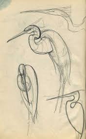 Pin By Angela Klyne On Polymer Animal Drawings Sketches Pencil Drawings Of Animals Animal Sketches