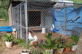 I'm working on my first ever chicken coop. Are The Holes In 2x4 Welded Wire Fence Too Big To Be Safe Page 2 Backyard Chickens Learn How To Raise Chickens