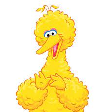 Pin By Stacey Birks On Big Bird The Muppet Show Sesame Street Street Pictures